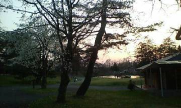 diary_20090419_1.jpg