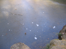 凍っている池