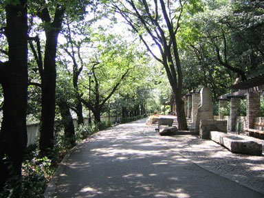 公園